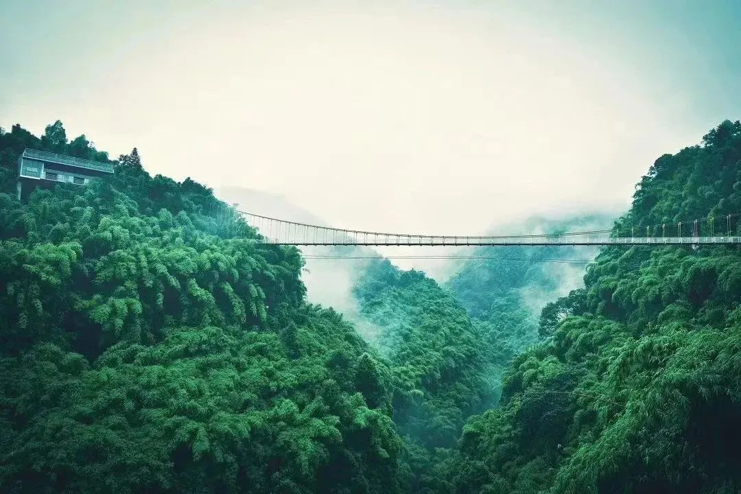 微信图片_20230519095316.jpg