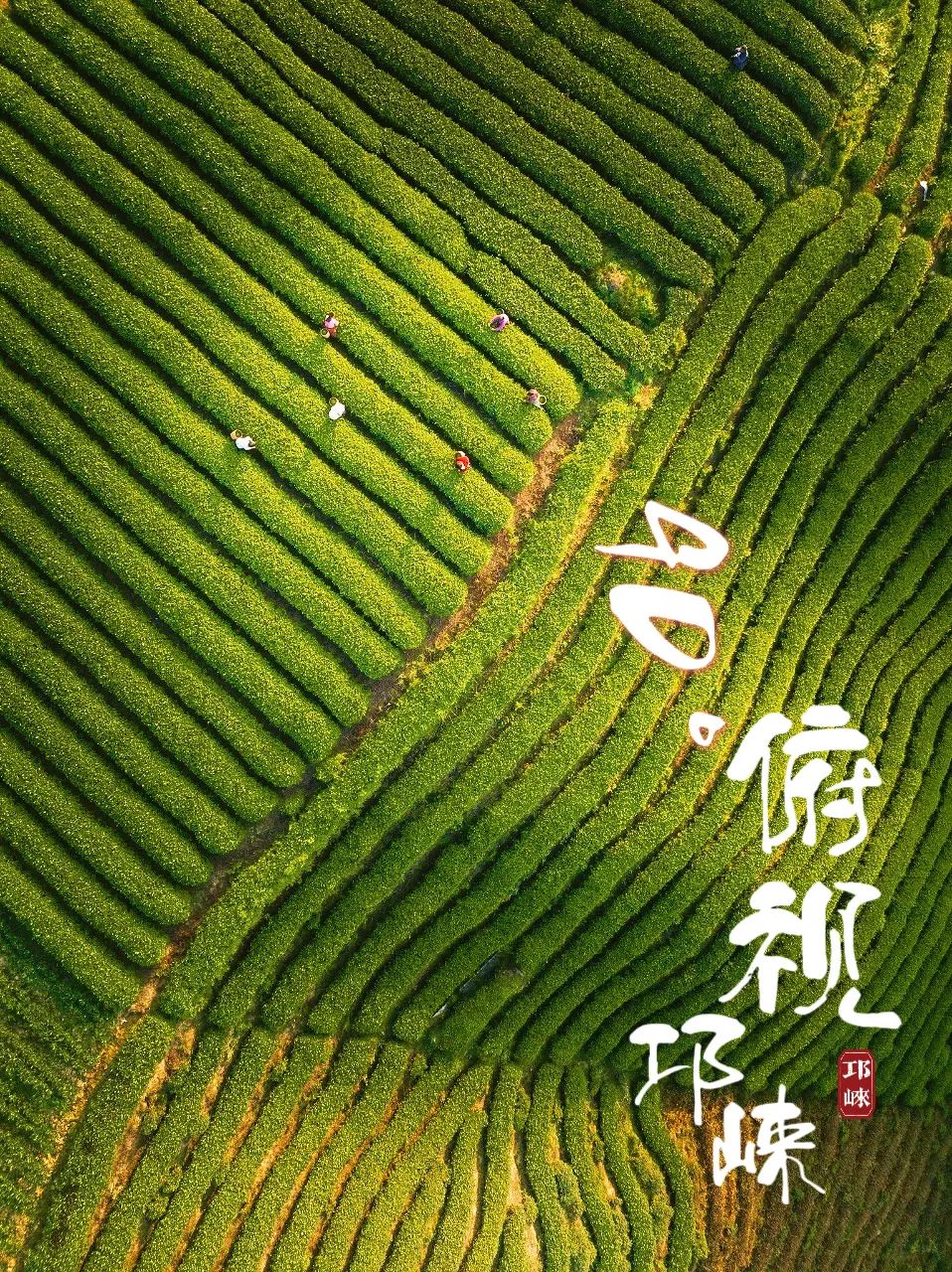 微信图片_20230531111552.jpg