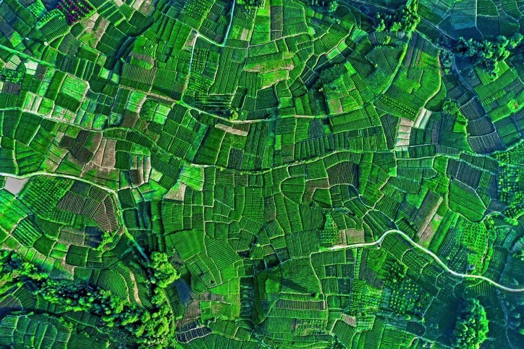 微信图片_20230531112526.jpg