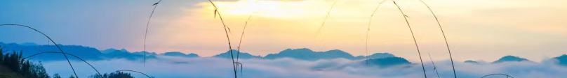 微信图片_20230707094556.png