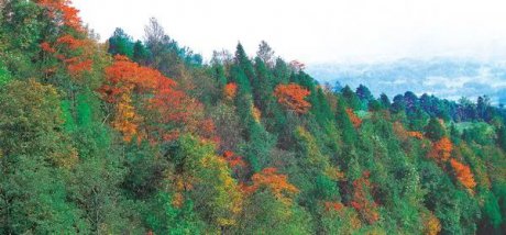 抓住秋天的尾巴，感受平乐古镇?天台山深秋之美~