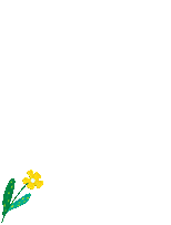 秋季限定美景，赏花，逛花市......邛崃的这些地点别错过！