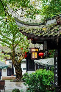 发呆吧！等一场秋天的雨